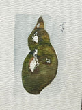 Original watercolor painting of a crimson sea urchin shell on paper in a gold mini frame