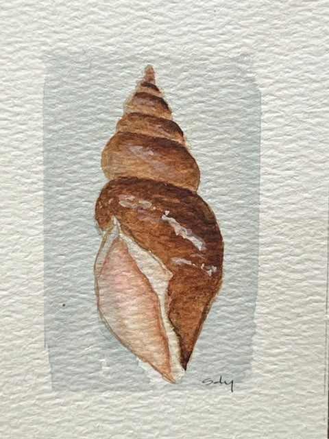 Original watercolor painting of a tall spiral shell on paper in a gold mini frame