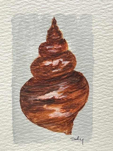 Original watercolor painting of a spiky cone shell on paper in a gold mini frame