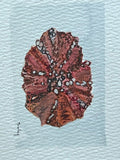 Original watercolor painting of a green chiton shell on paper in a gold mini frame