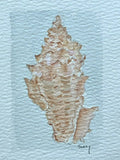 Original watercolor painting of a sandy volute shell on paper in a gold mini frame