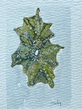 Original watercolor painting of a green barnacled shell on paper in a gold mini frame